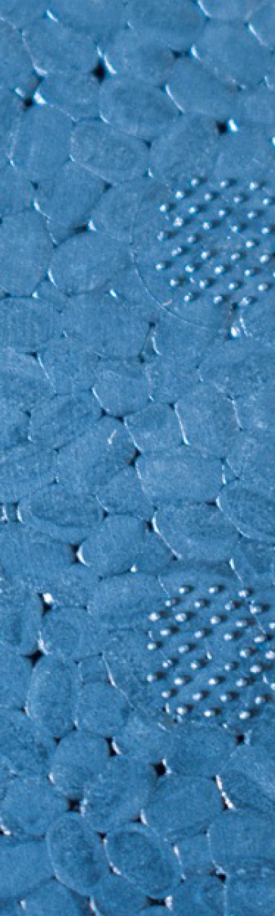 Nahaufnahme von blauem EPP. Das Muster besteht aus gepressten Ovalen, die eine glatte Oberfläche ergeben.